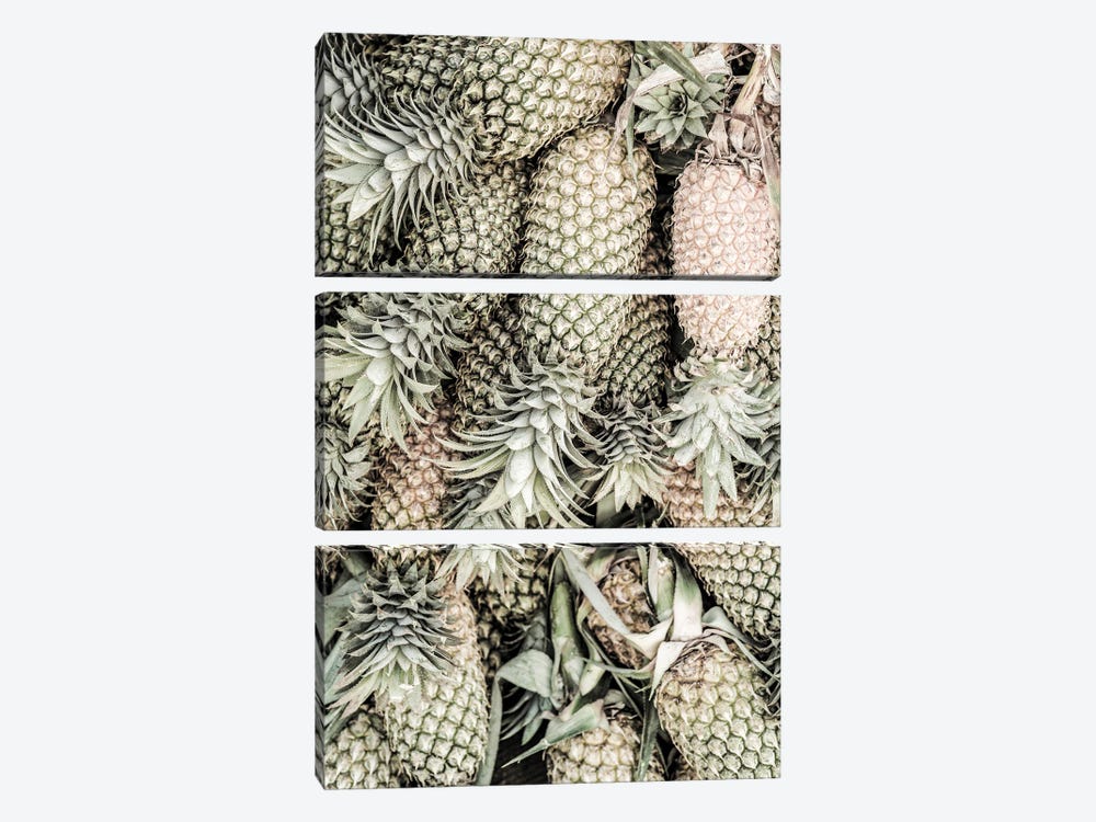 Spiced Pine by Shot by Clint 3-piece Art Print