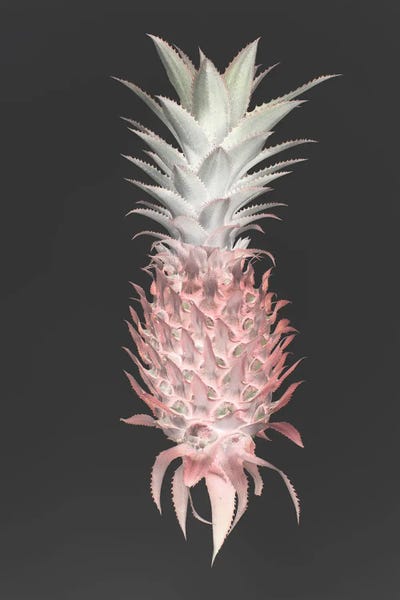 Strawberry Pine by Shot by Clint art print