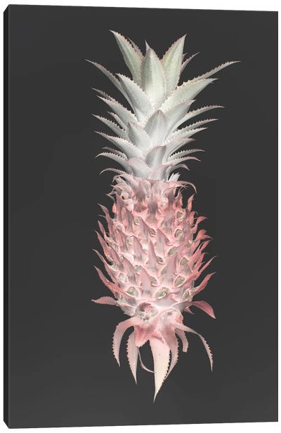 Strawberry Pine Canvas Art Print - Pineapple Art
