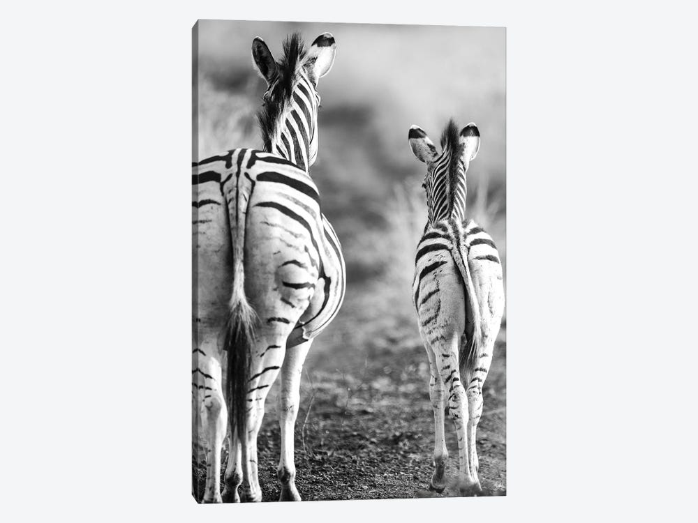Striped Horse Back-side by Shot by Clint 1-piece Art Print