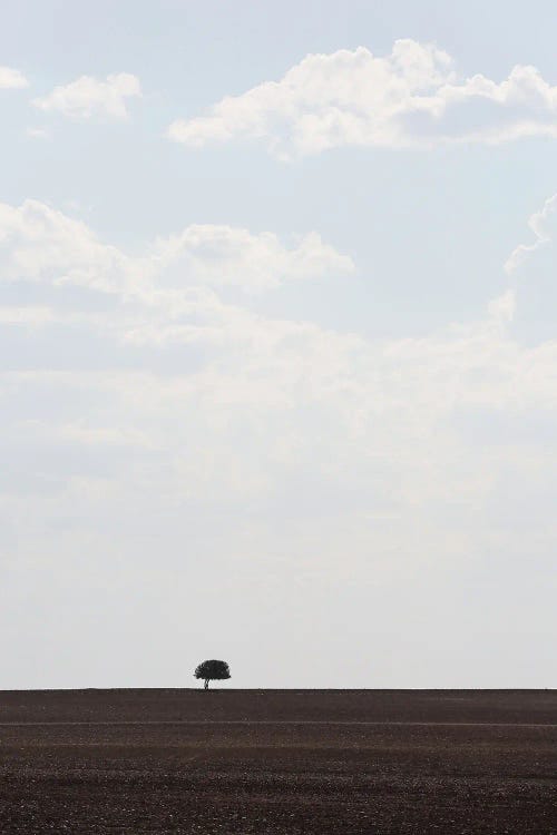 Swart Land I by Shot by Clint wall art