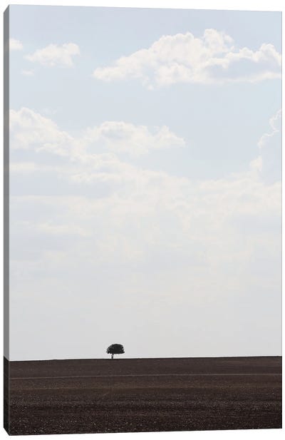 Swart Land I Canvas Art Print - Rothko Inspired Photography