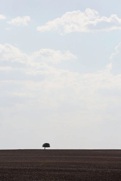 Rothko Inspired Photography: Swart Land I by Shot by Clint