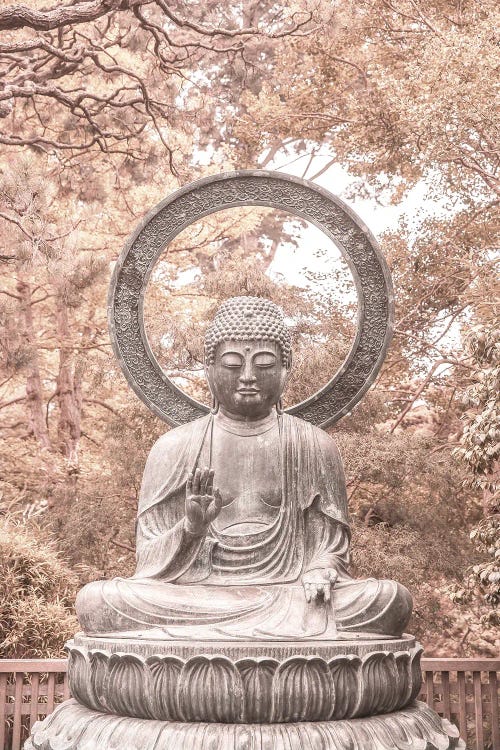 Buda by Shot by Clint wall art