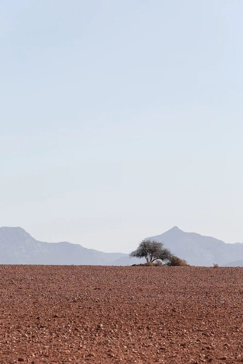 Swart Land II by Shot by Clint wall art
