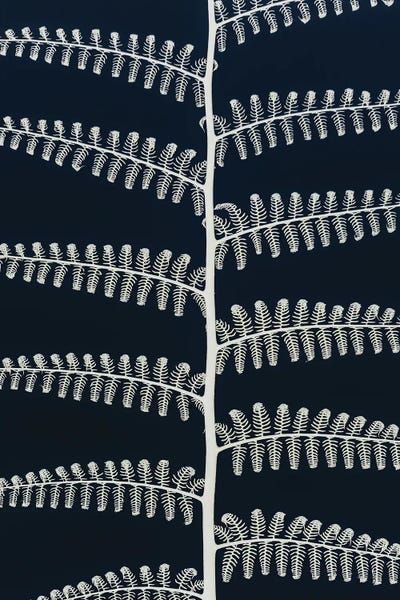 Japandi: Symmetry by Shot by Clint