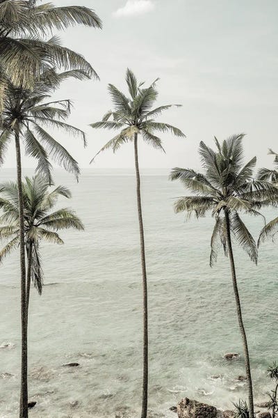 Fine Art Print: Tropical Dreams by Shot by Clint