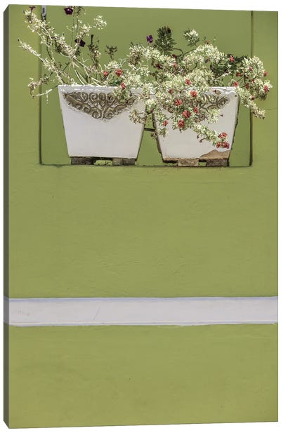 Wall Garden Canvas Art Print - Rothko Inspired Photography