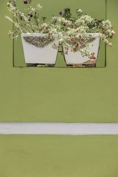 Rothko Inspired Photography: Wall Garden by Shot by Clint