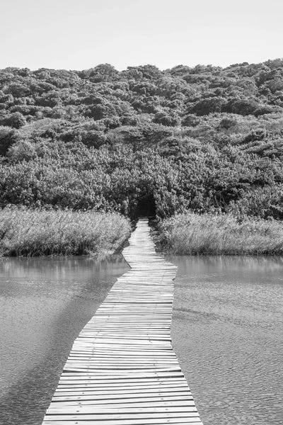 Jungles: Welcome to The Jungle by Shot by Clint