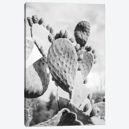 Cacti Cowboy I Canvas Print #SBC20} by Shot by Clint Canvas Print