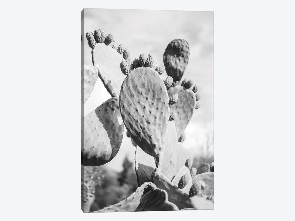Cacti Cowboy I by Shot by Clint 1-piece Canvas Artwork