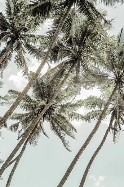 Wild Love by Shot by Clint canvas print