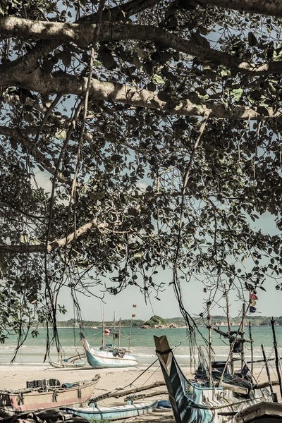 Rowboats: Adventure Awaits by Shot by Clint