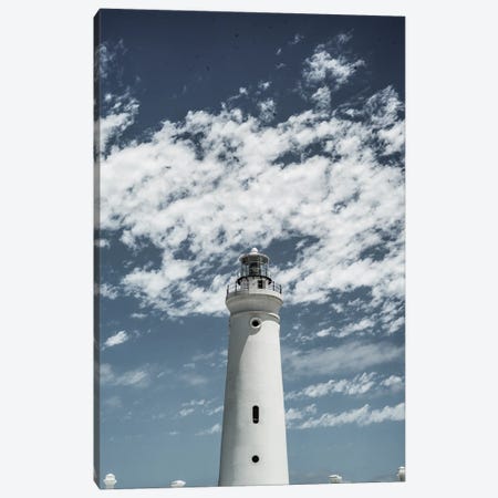 Cape Point Canvas Print #SBC25} by Shot by Clint Canvas Artwork