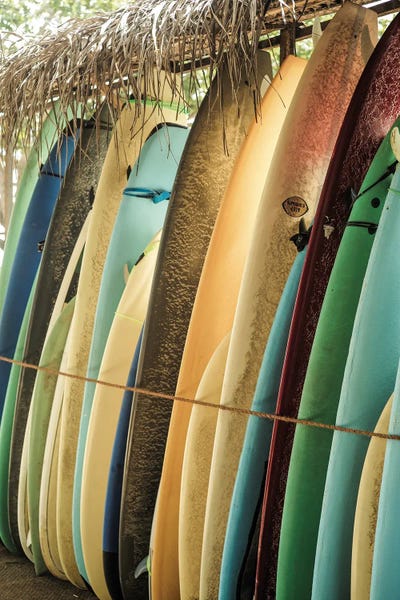 Ceylone Sliders by Shot by Clint canvas print