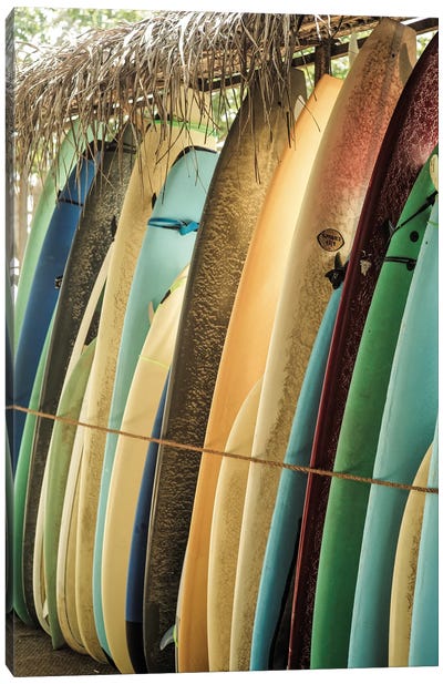 Ceylone Sliders Canvas Art Print - Surfing Art