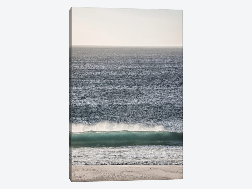 Champagne Sands by Shot by Clint 1-piece Canvas Art