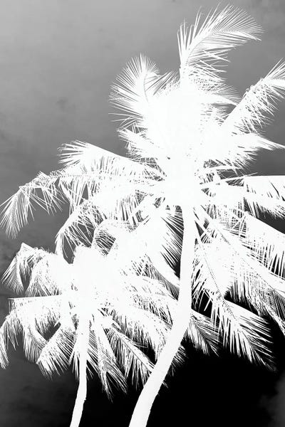 Coco Island I by Shot by Clint canvas print