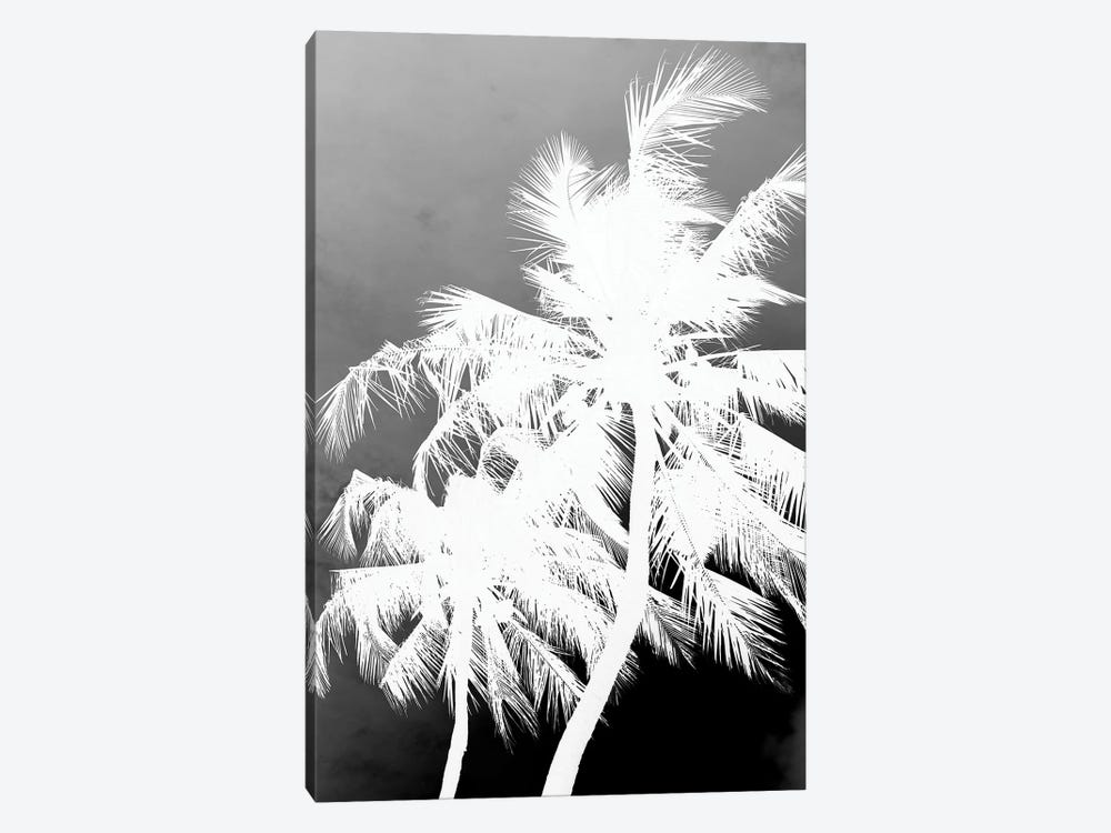 Coco Island I by Shot by Clint 1-piece Canvas Art