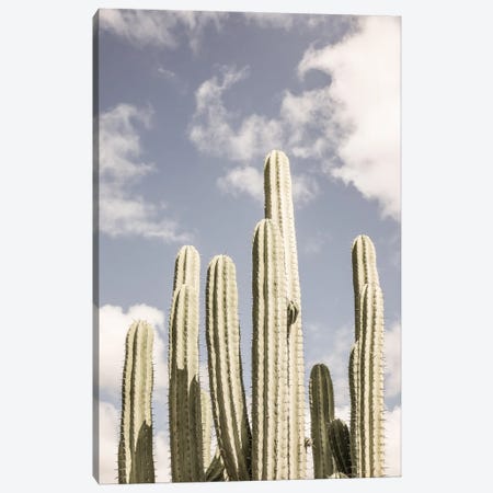 Desert Cathedral II Canvas Print #SBC46} by Shot by Clint Canvas Wall Art