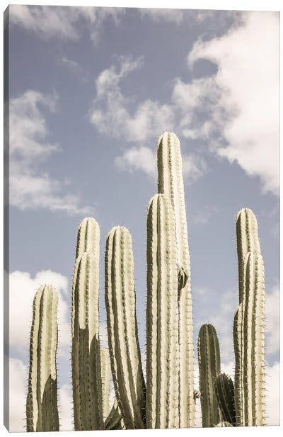 Desert Cathedral II Canvas Art Print - Shot by Clint