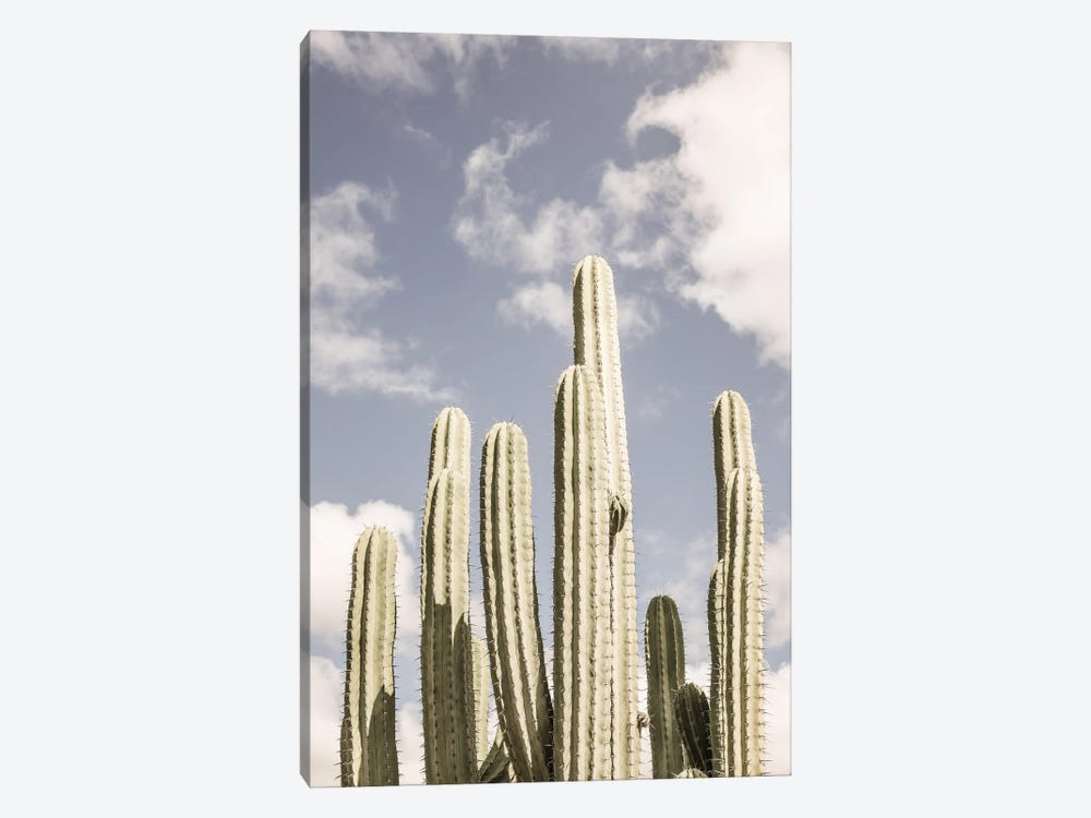 Desert Cathedral II by Shot by Clint 1-piece Canvas Artwork