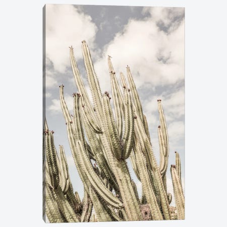 Desert Cathedral Canvas Print #SBC47} by Shot by Clint Canvas Wall Art