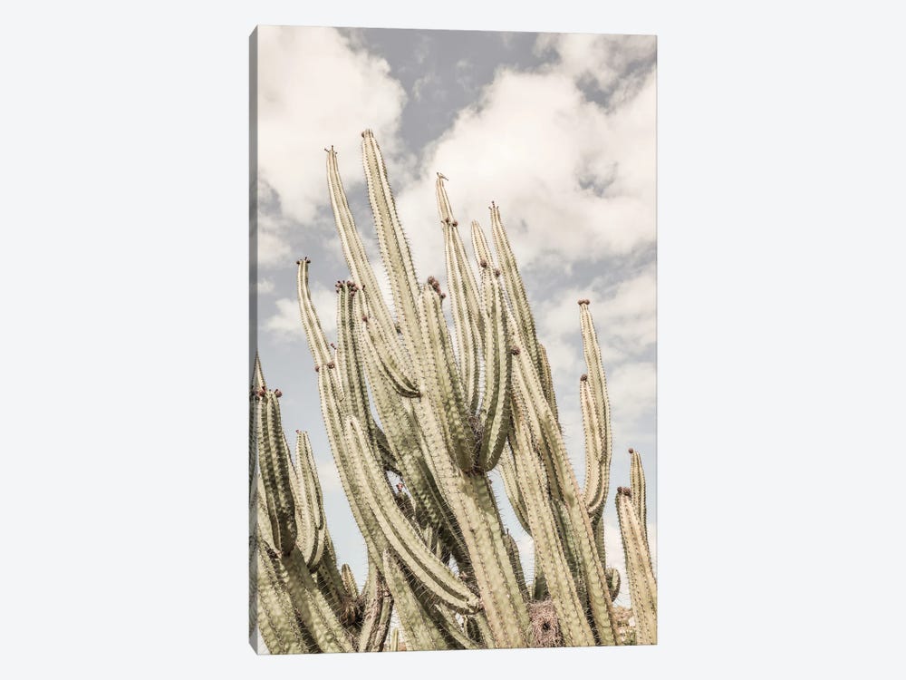 Desert Cathedral by Shot by Clint 1-piece Canvas Art Print
