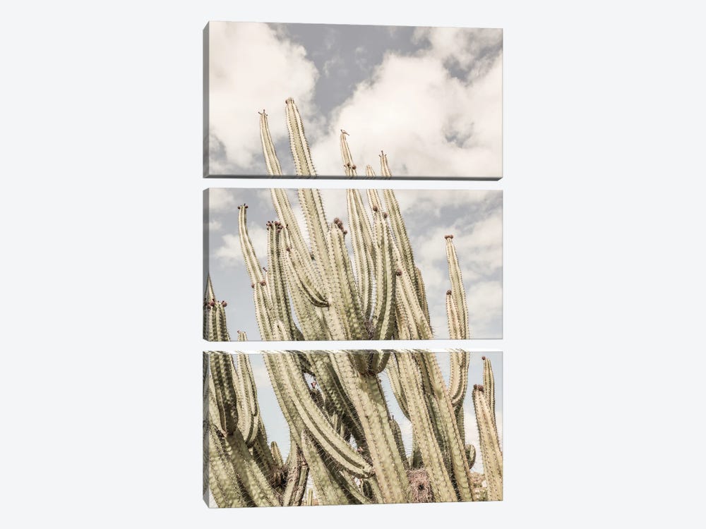 Desert Cathedral by Shot by Clint 3-piece Canvas Art Print