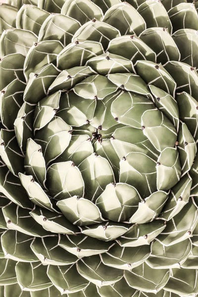 Desert Heart