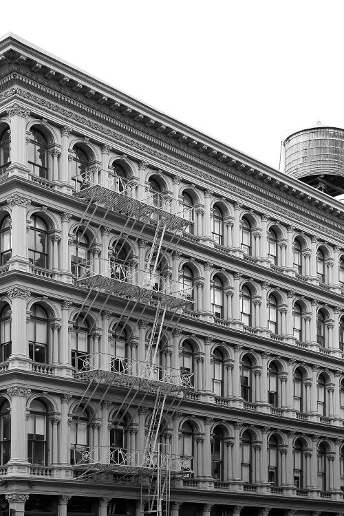 Archi by Shot by Clint wall art