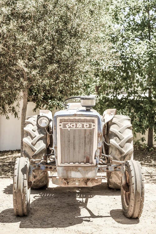 Ford by Shot by Clint wall art