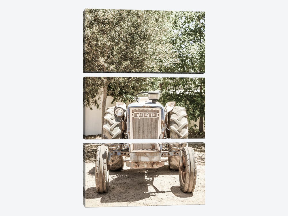 Ford by Shot by Clint 3-piece Canvas Art Print