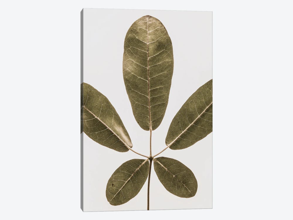 Autum Leaf by Shot by Clint 1-piece Art Print