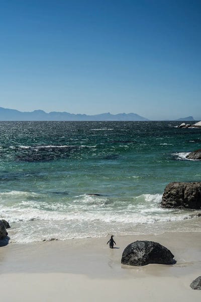Cape Town: Heading Out by Shot by Clint