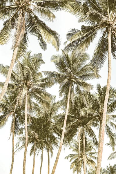 Island Bliss by Shot by Clint canvas print