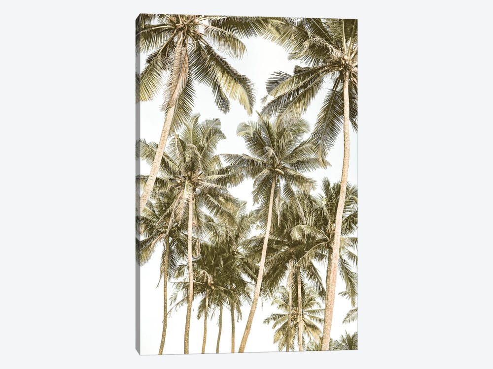 Island Bliss by Shot by Clint 1-piece Canvas Wall Art
