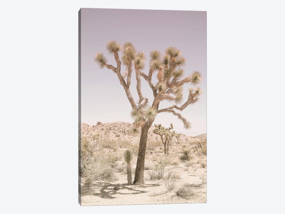 Joshua Tree by Shot by Clint 1-piece Canvas Art Print