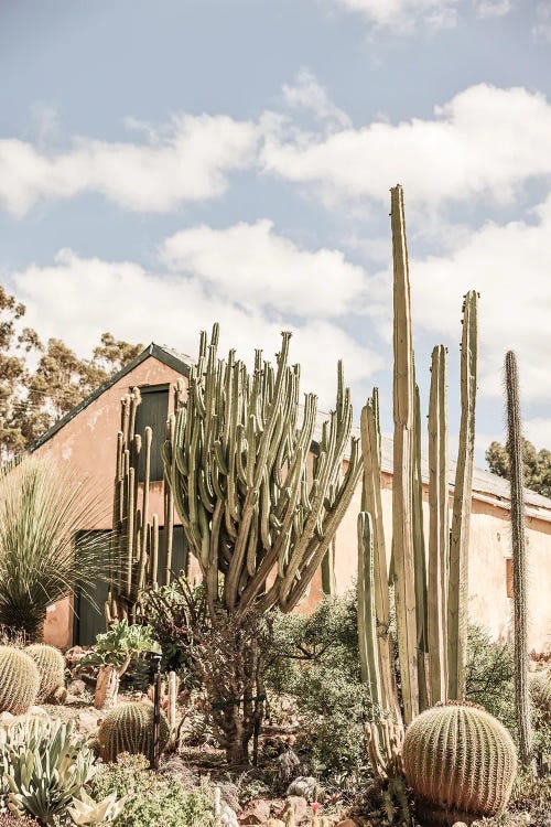 Karoo Garden
