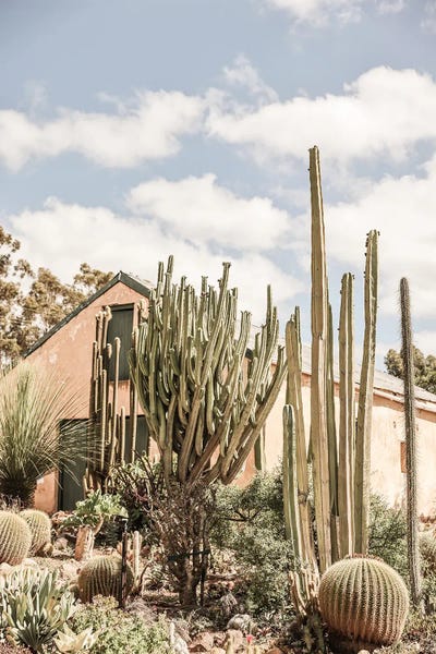 Karoo Garden