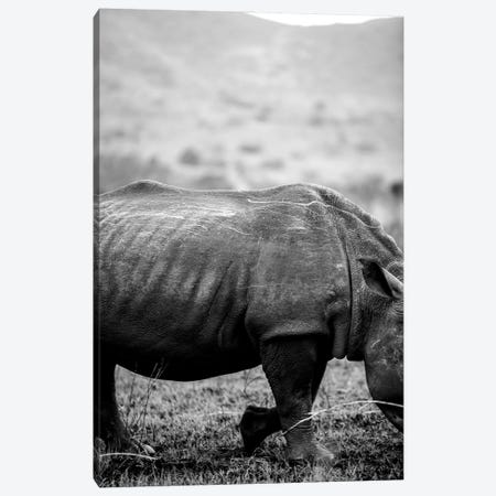 Black Rhino Canvas Print #SBC8} by Shot by Clint Canvas Art Print