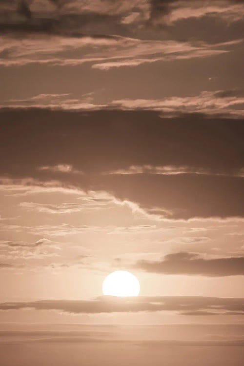 Liquid Sunshine by Shot by Clint wall art