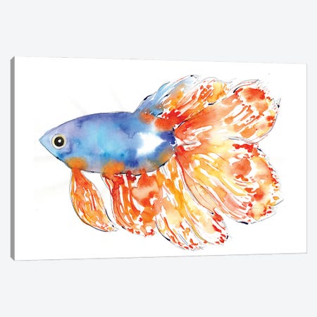 Seacoast Betta Fish Canvas Print #SBE104} by Sara Berrenson Canvas Artwork