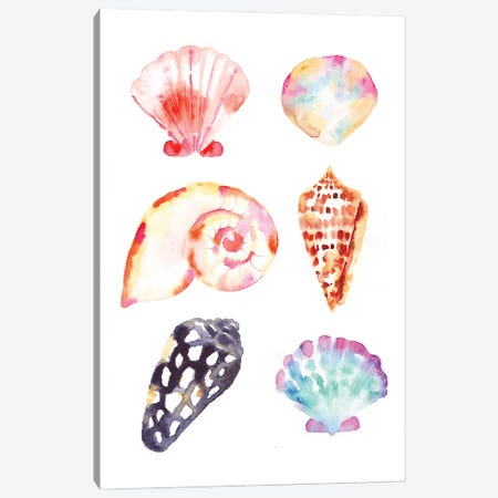 Seacoast Shells Canvas Print #SBE105} by Sara Berrenson Canvas Art