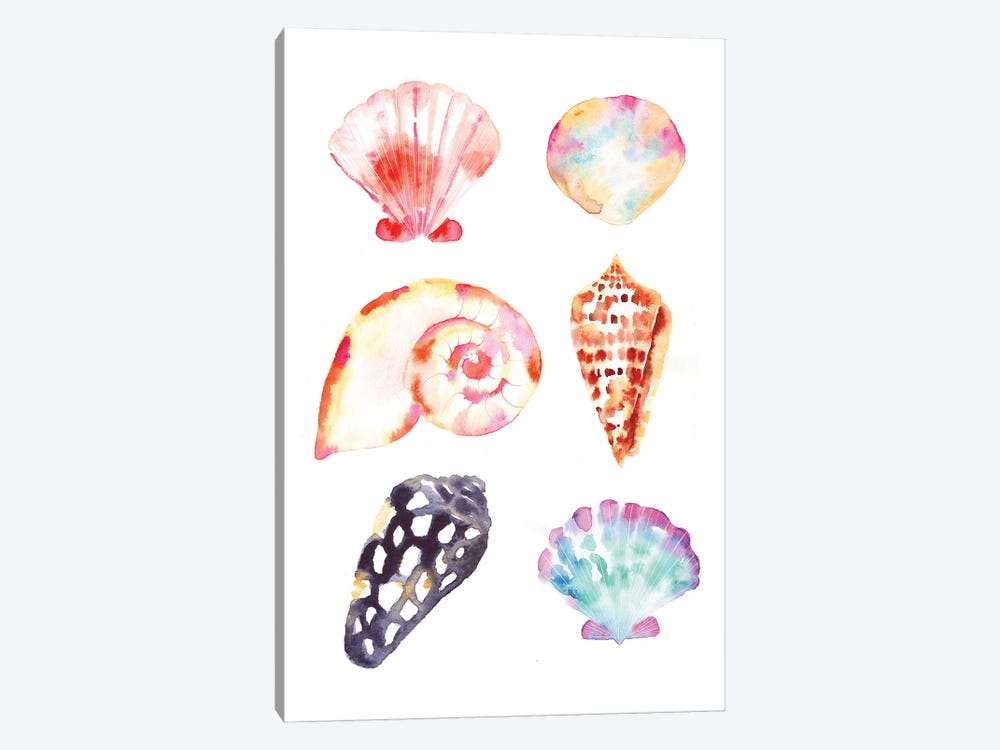 Seacoast Shells by Sara Berrenson 1-piece Art Print