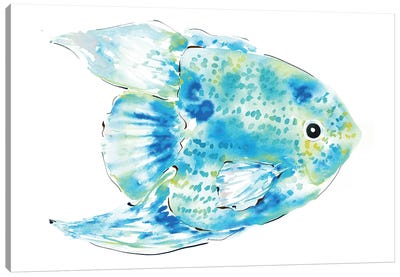 Spotted Fish Blue Canvas Art Print - Sara Berrenson