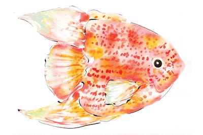 Spotted Fish Coral by Sara Berrenson canvas print