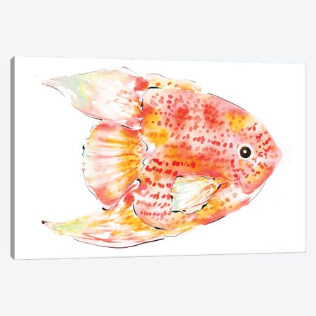 Spotted Fish Coral Canvas Print #SBE107} by Sara Berrenson Canvas Wall Art