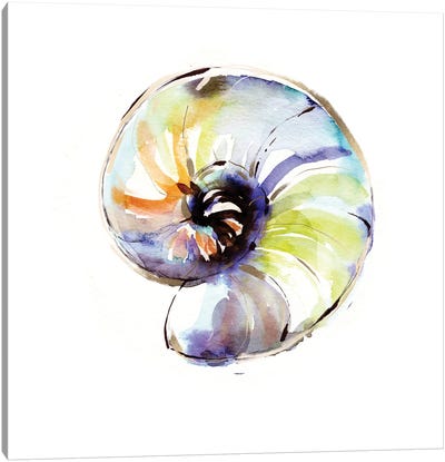 Warm Abstract Shell Canvas Art Print - Sara Berrenson